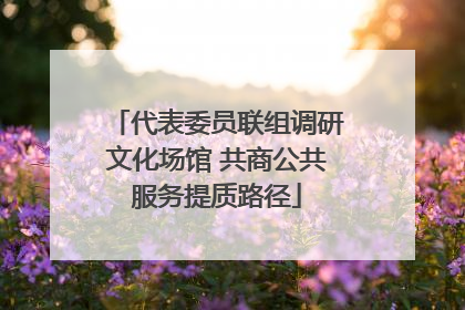 代表委员联组调研文化场馆 共商公共服务提质路径