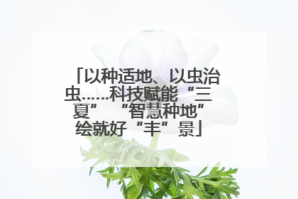 以种适地、以虫治虫……科技赋能“三夏” “智慧种地”绘就好“丰”景