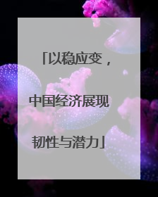 以稳应变,中国经济展现韧性与潜力