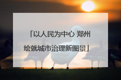 以人民为中心 郑州绘就城市治理新图景