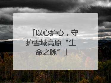 以心护心，守护雪域高原“生命之脉”