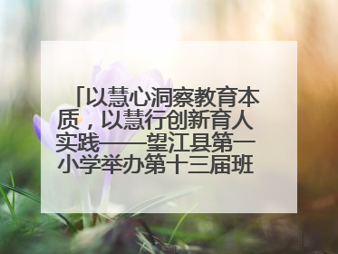 以慧心洞察教育本质，以慧行创新育人实践——望江县第一小学举办第十三届班主任论坛