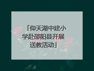 仰天湖中建小学赴邵阳县开展送教活动