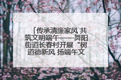 传承清廉家风 共筑文明端午——舞阳街道长春村开展“树道德新风 扬端午文化”主题活动