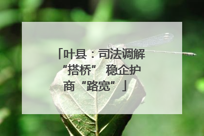叶县：司法调解“搭桥” 稳企护商“路宽”