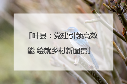 叶县：党建引领高效能 绘就乡村新图景