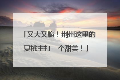 又大又脆！荆州这里的夏桃主打一个甜美！