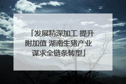 发展精深加工 提升附加值 湖南生猪产业谋求全链条转型