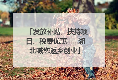 发放补贴、扶持项目、税费优惠……湖北喊您返乡创业