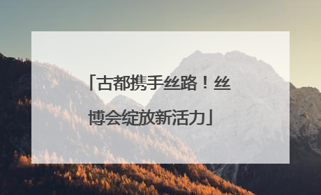 古都携手丝路！丝博会绽放新活力