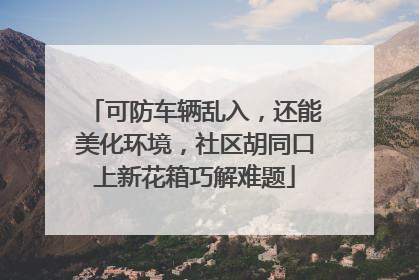可防车辆乱入，还能美化环境，社区胡同口上新花箱巧解难题