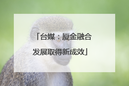台媒：厦金融合发展取得新成效