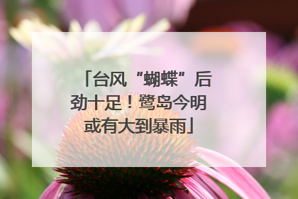 台风“蝴蝶”后劲十足！鹭岛今明或有大到暴雨