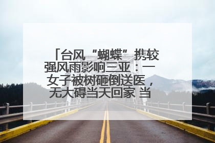 台风“蝴蝶”携较强风雨影响三亚：一女子被树砸倒送医，无大碍当天回家 当地已紧急清障
