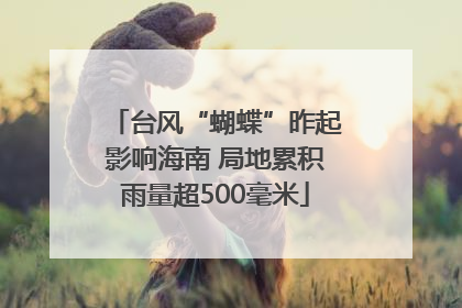 台风“蝴蝶”昨起影响海南 局地累积雨量超500毫米