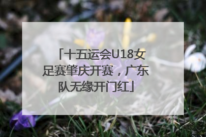 十五运会U18女足赛肇庆开赛，广东队无缘开门红