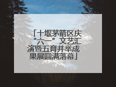 十堰茅箭区庆“六一”文艺汇演暨五育并举成果展圆满落幕