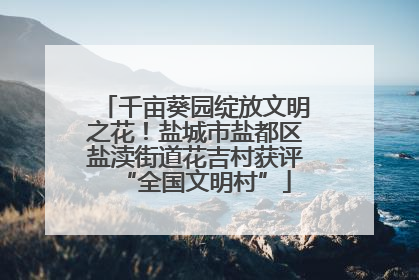 千亩葵园绽放文明之花！盐城市盐都区盐渎街道花吉村获评“全国文明村”