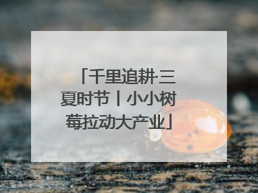 千里追耕·三夏时节丨小小树莓拉动大产业