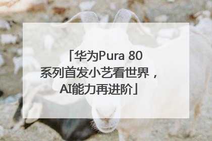 华为Pura 80系列首发小艺看世界，AI能力再进阶