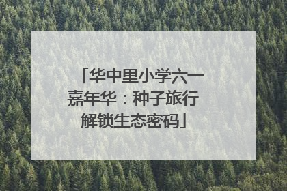 华中里小学六一嘉年华：种子旅行解锁生态密码