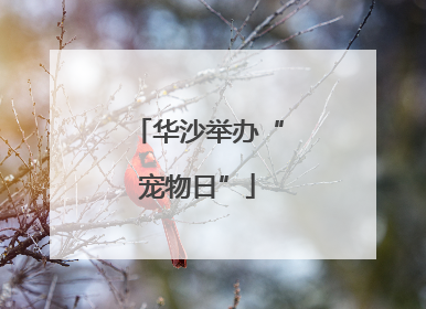 华沙举办“宠物日”