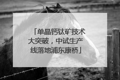 单晶钙钛矿技术大突破，中试生产线落地浦东康桥