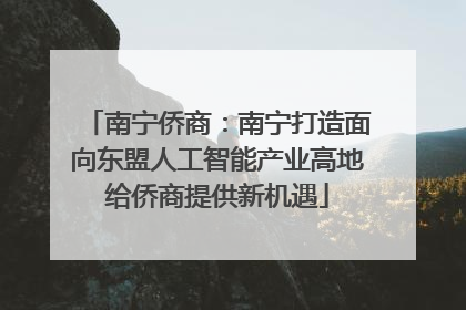 南宁侨商：南宁打造面向东盟人工智能产业高地给侨商提供新机遇