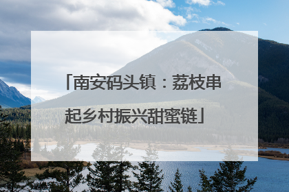 南安码头镇：荔枝串起乡村振兴甜蜜链