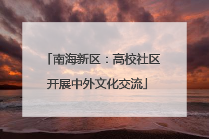 南海新区：高校社区开展中外文化交流