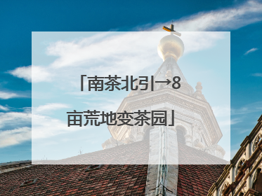 南茶北引→8亩荒地变茶园