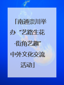南通崇川举办“艺路生花·街角艺趣”中外文化交流活动