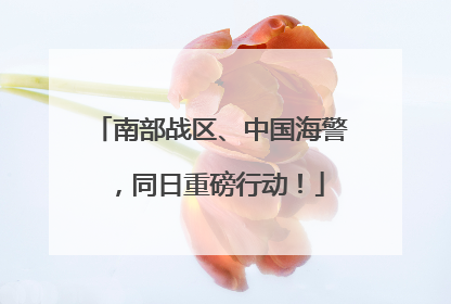 南部战区、中国海警，同日重磅行动！
