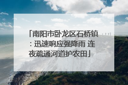 南阳市卧龙区石桥镇：迅速响应强降雨 连夜疏通河道护农田