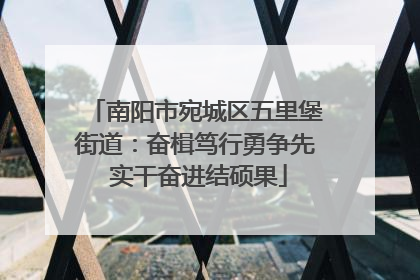 南阳市宛城区五里堡街道：奋楫笃行勇争先 实干奋进结硕果