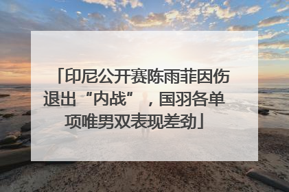 印尼公开赛陈雨菲因伤退出“内战”，国羽各单项唯男双表现差劲