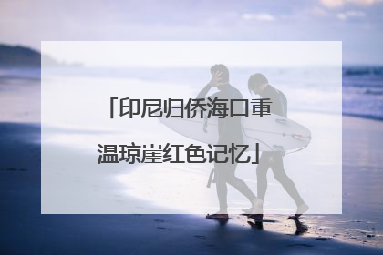 印尼归侨海口重温琼崖红色记忆