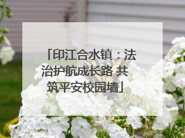 印江合水镇：法治护航成长路 共筑平安校园墙