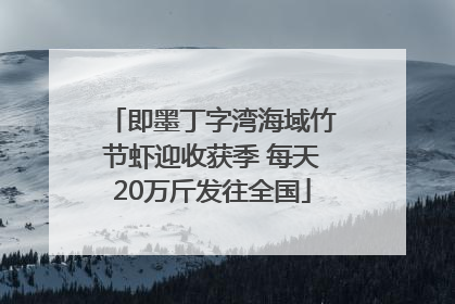 即墨丁字湾海域竹节虾迎收获季 每天20万斤发往全国