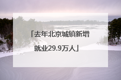 去年北京城镇新增就业29.9万人