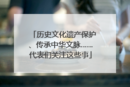历史文化遗产保护、传承中华文脉……代表们关注这些事