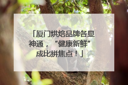 厦门烘焙品牌各显神通，“健康新鲜”成比拼焦点！