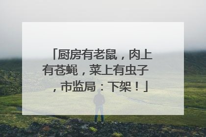 厨房有老鼠，肉上有苍蝇，菜上有虫子，市监局：下架！