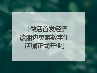 做活首发经济 赣湘边奥莱数字生活城正式开业