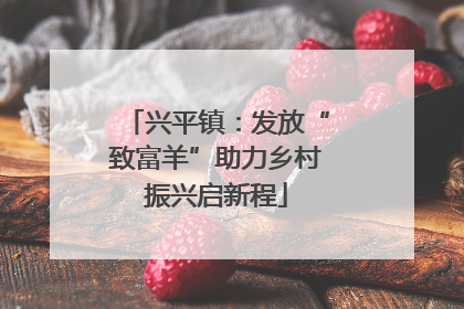 兴平镇：发放“致富羊”助力乡村振兴启新程
