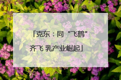 克东：同“飞鹤”齐飞 乳产业崛起