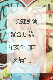 党建引领聚合力 筑牢安全“防火墙”