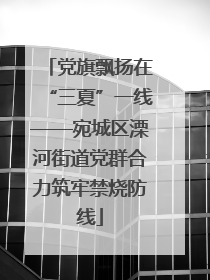 党旗飘扬在“三夏”一线——宛城区溧河街道党群合力筑牢禁烧防线