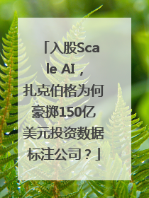 入股Scale AI，扎克伯格为何豪掷150亿美元投资数据标注公司？