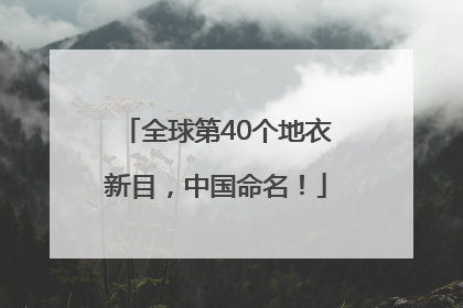 全球第40个地衣新目，中国命名！